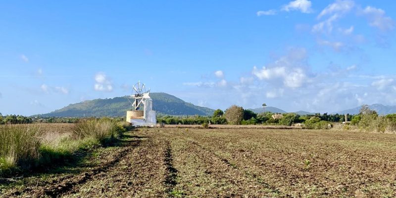 Mallorca_view_windmill